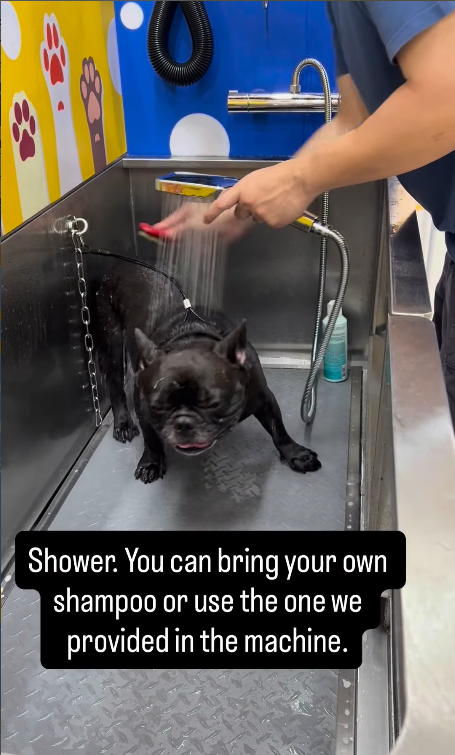 Bailey’s Pet Wash in Malaysia
